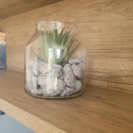 Baltic Turkusowy Apartament *